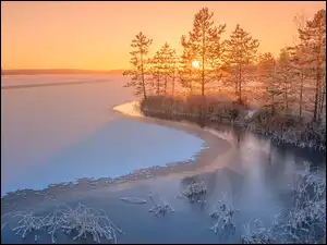 Karelia, Jezioro, Wschód słońca, Rosja, Zima, Drzewa, Ładoga