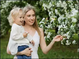 Dziecko, Drzewo owocowe, Mama, Kobieta, Gałązki