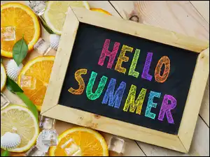 Napis Hello Summer z muszelkami cytrusami