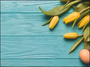 Tulipany z pisankami na deskach