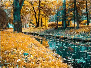 Drzewa, Jesień, Park, Rzeka, Liście