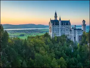 Zamek Neuschwanstein, Las, Bawaria, Niemcy, Drzewa