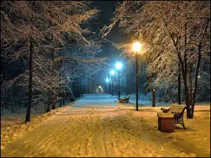 Park, Zima, Latarnie, Drzewa, Ławki, Ośnieżone