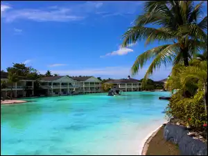 Palmy, Hotel, Morze