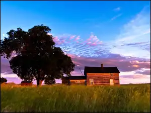 Łąka, Domy, Drzewo