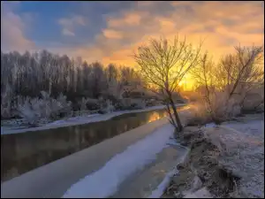 Rzeka, Zima, Drzewa, Wschód słońca, Oszronione, Śnieg