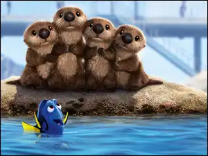 Bajka, Gdzie jest Dory, Rybka Dory, Film animowany, Wydry, Cztery, Finding Dory