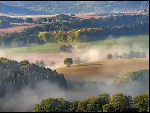Drzewa na wzgórzach we mgle