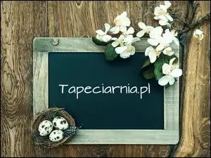 Kompozycja, Ramka, Gniazdo, Kwiaty