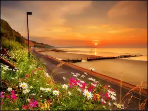 Sandown Bay, Zatoka, Morze, Anglia, Plaża, Wschód Słońca
