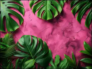 Grafika, Tło, Monstera, Liście, Biskupie