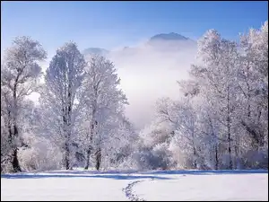 Śnieg, Oszronione, Ścieżka, Zima, Mgła, Góry, Drzewa