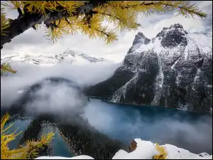Kanada, Canadian Rockies, Park Narodowy Yoho, Mgła, Chmury, Jezioro, OHara Lake, Góry, Las