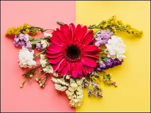Kolorowe tło, Kompozycja, Kwiaty, Gerbera