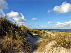Wybrzeże, Morze, Trawy, Cień, Wydmy, Światło