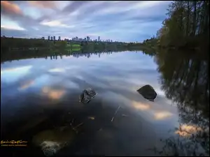 Drzewa odbite w jeziorze Deer