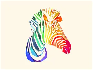 Zebra, Kolorowa