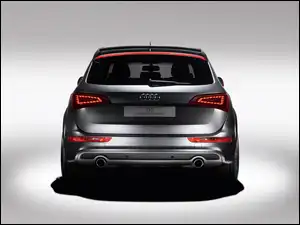 Concept, Tył, Audi Q5