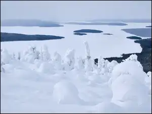 Jezioro, Zima, Drzewa, Góry