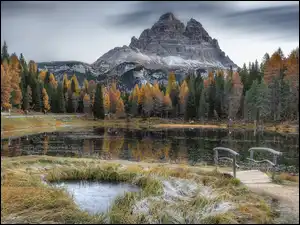 Włochy, Tre Cime di Lavaredo, Drzewa, Masyw, Antorno Lake, Jezioro, Góry, Mostek, Dolomity, Prowincja Belluno