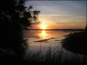 Roślinność, Jezioro, Zachód słońca, Drzewa