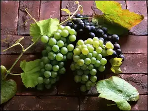 Winogrona, Cegły, Zielone, Czarne