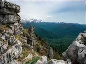 Trawa, Góry, Skały, Drzewa