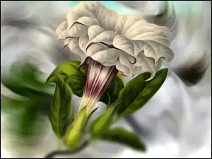 Graficzna petunia