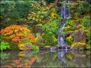Stany Zjednoczone, Portland Japanese Garden, Portland, Skały, Drzewa, Ogród japoński, Roślinność, Krzewy, Wodospad, Oregon