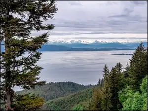 Jezioro, Drzewa, Alaska, Stany Zjednoczone, Góry
