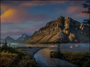 Kanada, Poranek, Rośliny, Bow Lake, Drzewo, Góry, Canadian Rockies, Park Narodowy Banff, Jezioro