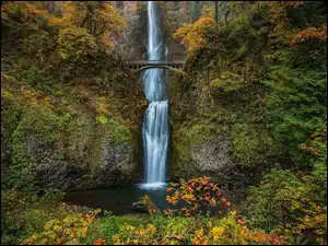 Hrabstwo Multnomah, Wodospad, Skały, Oregon, Multnomah Falls, Drzewa, Stany Zjednoczone, Most
