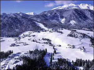 Lasy, Wioska, Alpy, Zima, Dolina