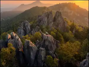 Lasy, Góry, Skały, Drzewa