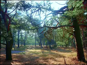 Park