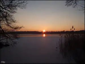 Jezioro, Trzciny, Słońca, Zachód, Lód