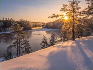 Rzeka Kymijoki, Zima, Drzewa, Finlandia, Las, Promienie słońca