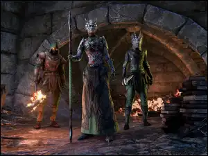 Postacie, The Elder Scrolls Online Blackwood, Trzy