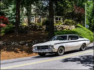 Chevrolet, Rośliny, Ogród, Droga, Drzewa