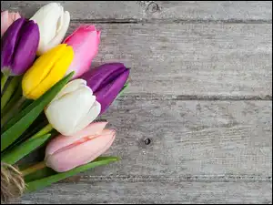 Tulipany na deskach