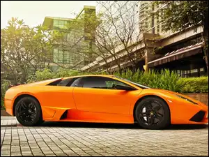 Drzewa, Lamborghini, Murcielago, Dom
