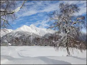Góry, Droga, Śnieg, Zima, Drzewa