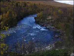 Las, Drzewa, Szwecja, Rzeka Abiskojokk, Park Narodowy Abisko, Skały, Krzewy