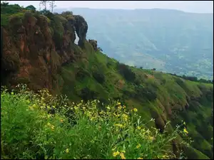 Indie, Góra, Kwiatki, Mahabaleshwar