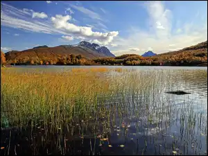 Jezioro, Trawa, Góry, Jesień, Drzewa