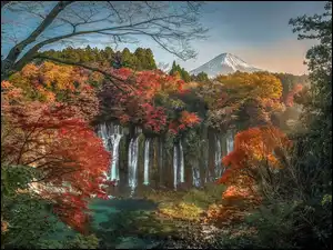 Wodospad Shiraito, Jesień, Gałęzie, Park Narodowy Fudżi-Hakone-Izu, Liście, Wieczór, Japonia, Drzewa