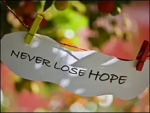 Pozytywny napis Never lose hope