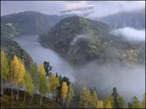 Lasy, Mgła, Rosja, Rzeka Mana, Kraj Krasnojarski, Drzewa, Góry