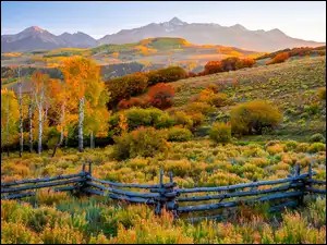Ogrodzenie, Stan Kolorado, Drzewa, San Juan Mountains, Kolorowe, Telluride, Jesień, Stany Zjednoczone, Góry