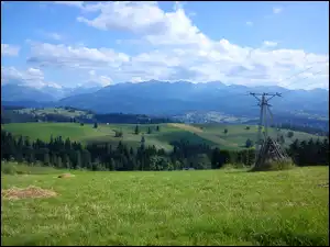 Pola, Tatry, Farmy